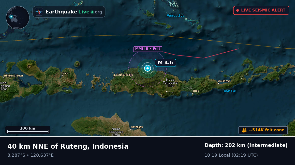 Flores Sea (Indonesia)