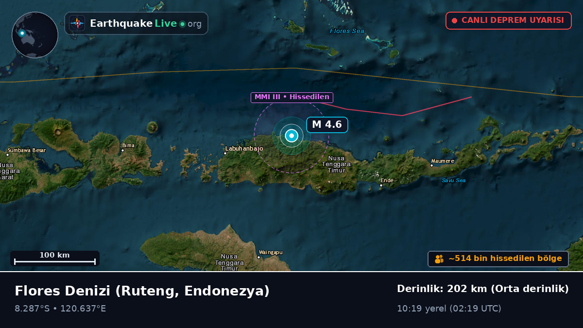 Flores Denizi (Endonezya)
