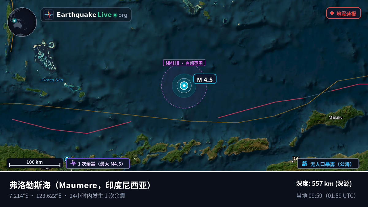 弗洛勒斯海 (印度尼西亚)