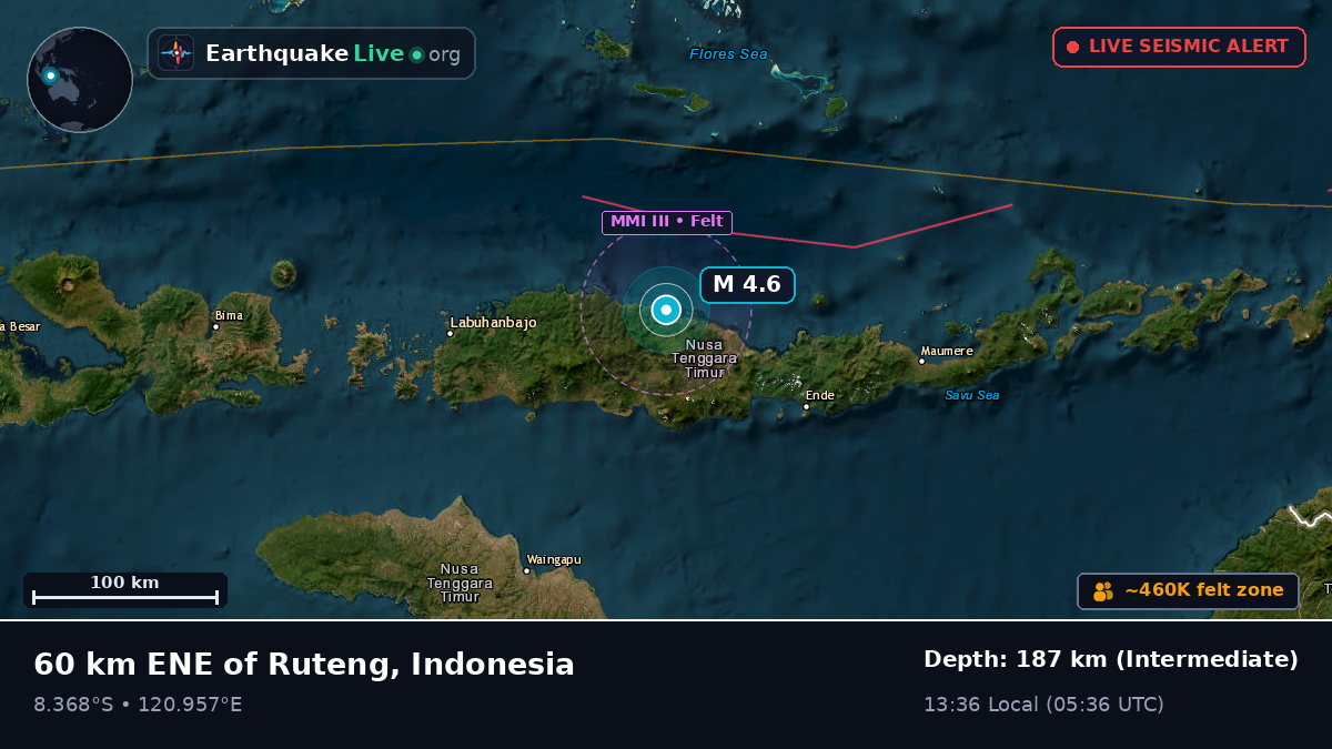 Flores Sea (Indonesia)