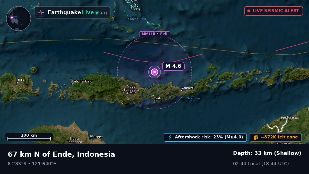 Flores Sea (Indonesia)
