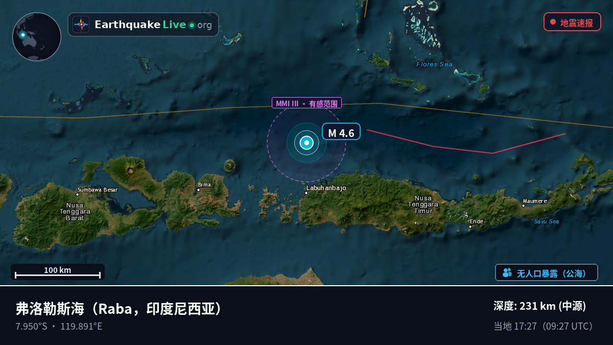 弗洛勒斯海 (印度尼西亚)