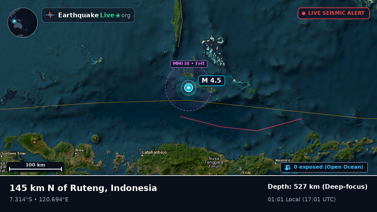 Flores Sea (Indonesia)