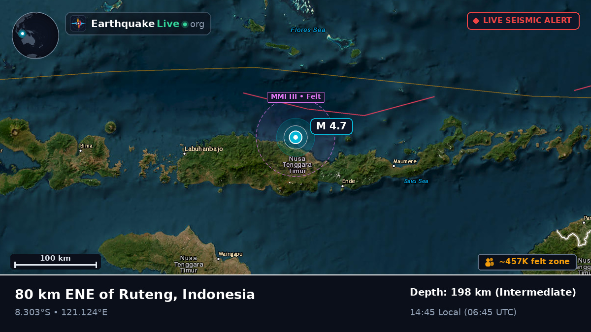 Flores Sea (Indonesia)
