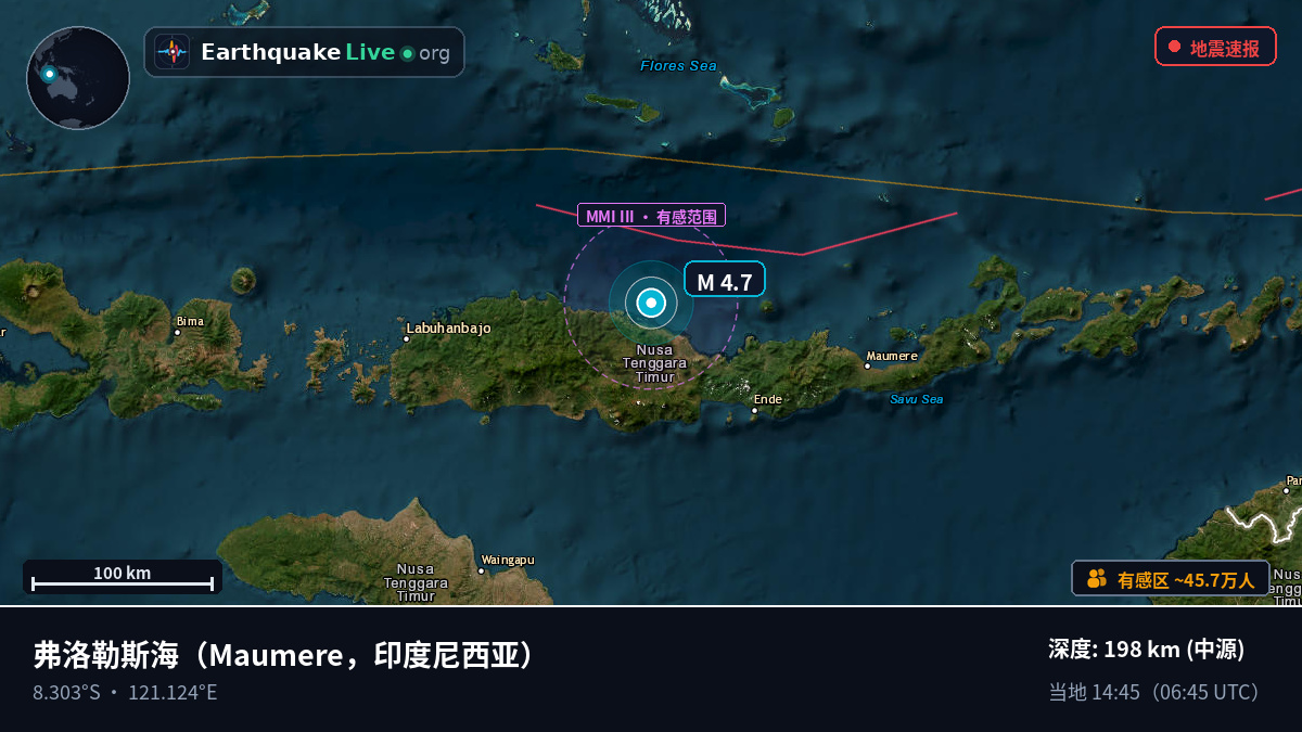 弗洛勒斯海 (印度尼西亚)