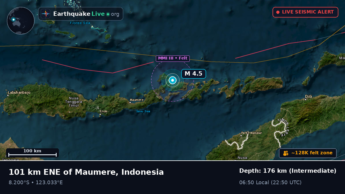 Flores Sea (Indonesia)