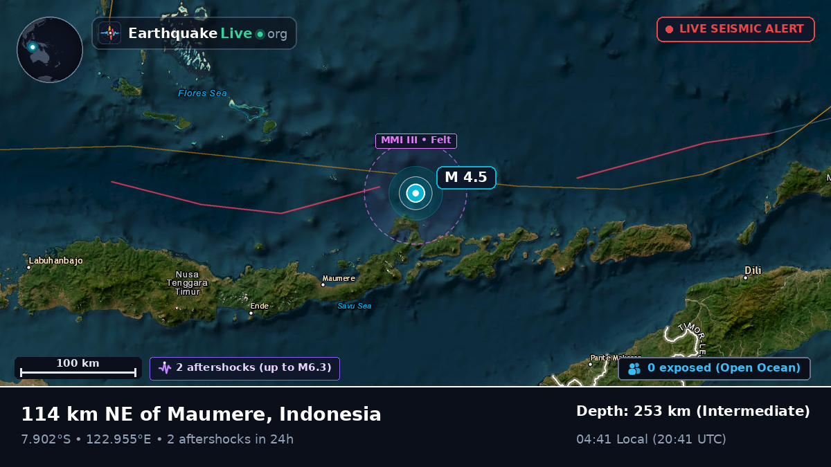 Flores Sea (Indonesia)