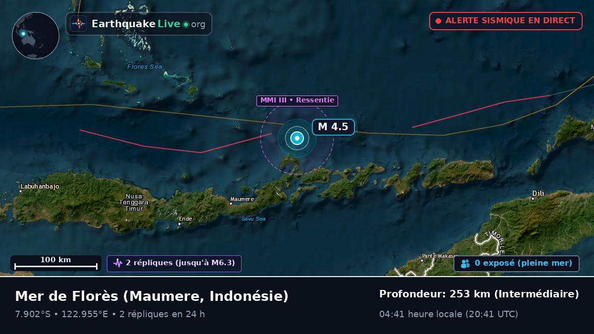 Mer de Florès (Indonésie)