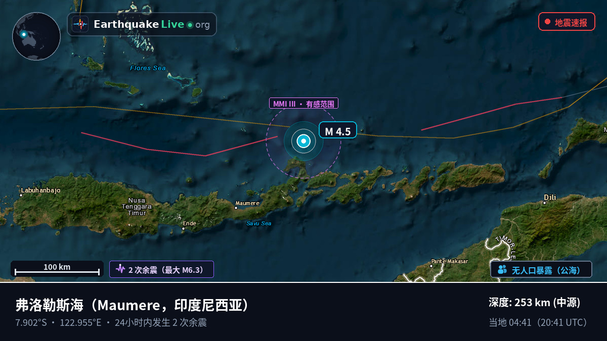 弗洛勒斯海 (印度尼西亚)