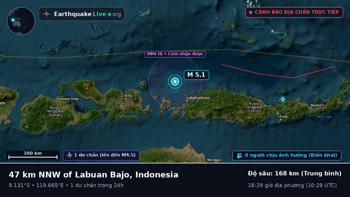 Biển Flores (Indonesia)
