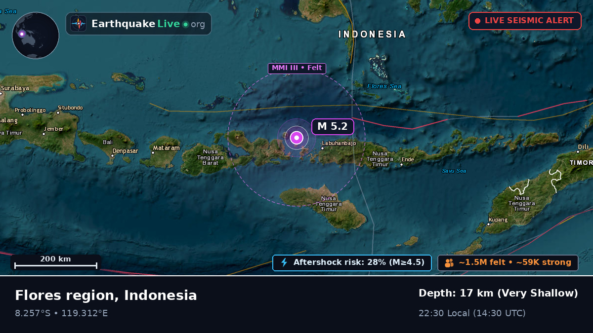Flores Sea (Indonesia)