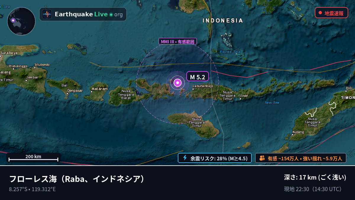 フローレス海 (インドネシア)
