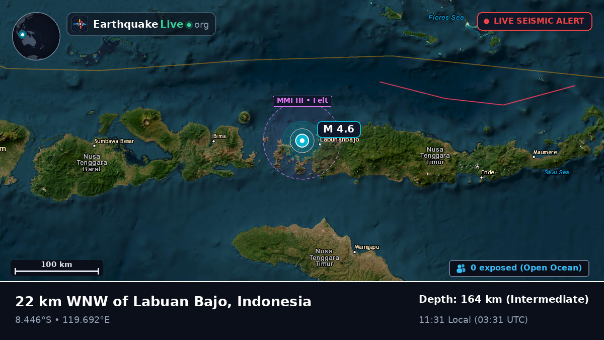 Flores Sea (Indonesia)