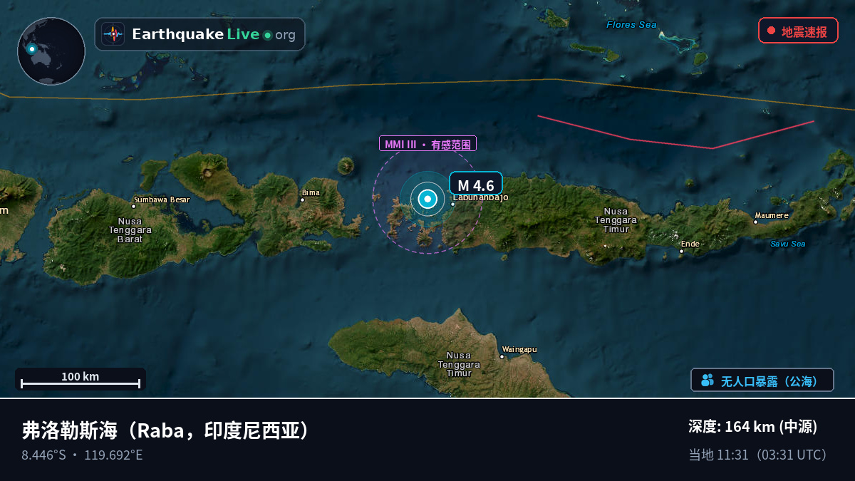 弗洛勒斯海 (印度尼西亚)