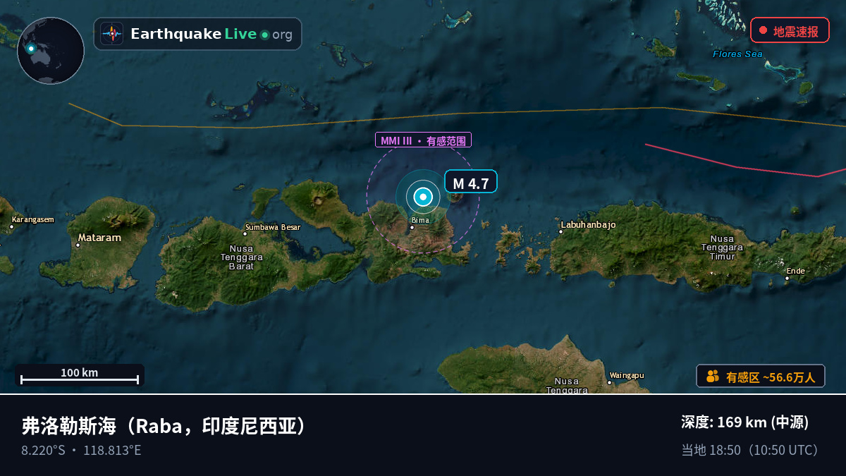 弗洛勒斯海 (印度尼西亚)
