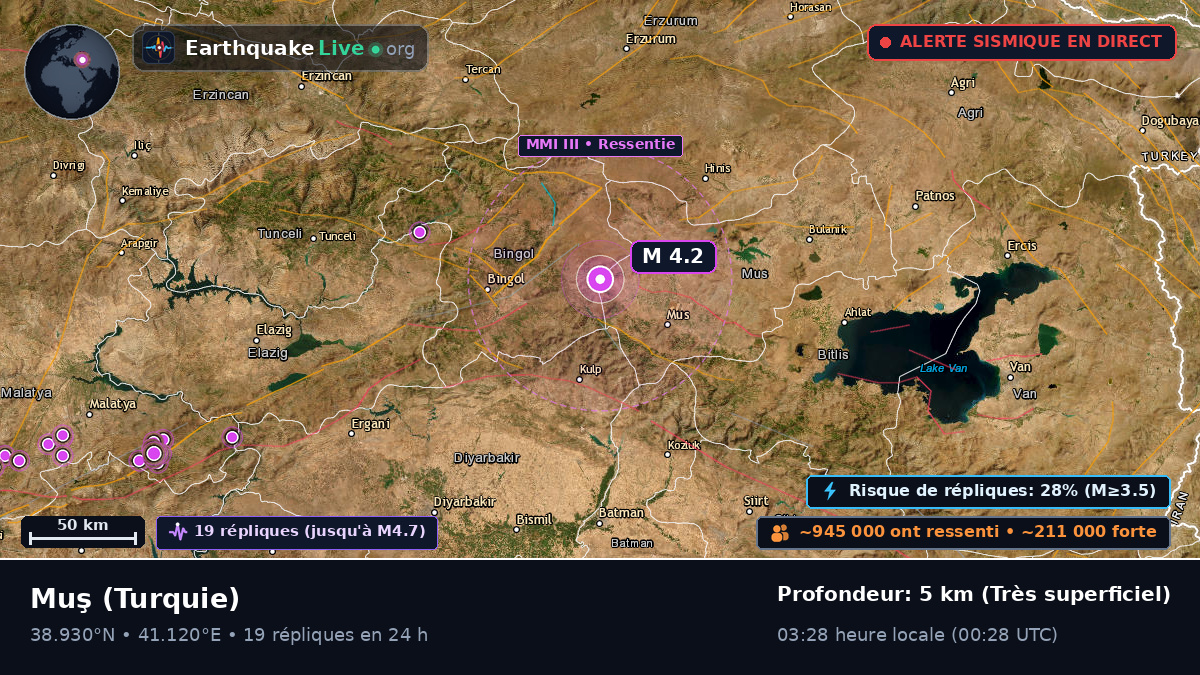 Mus, Turquie