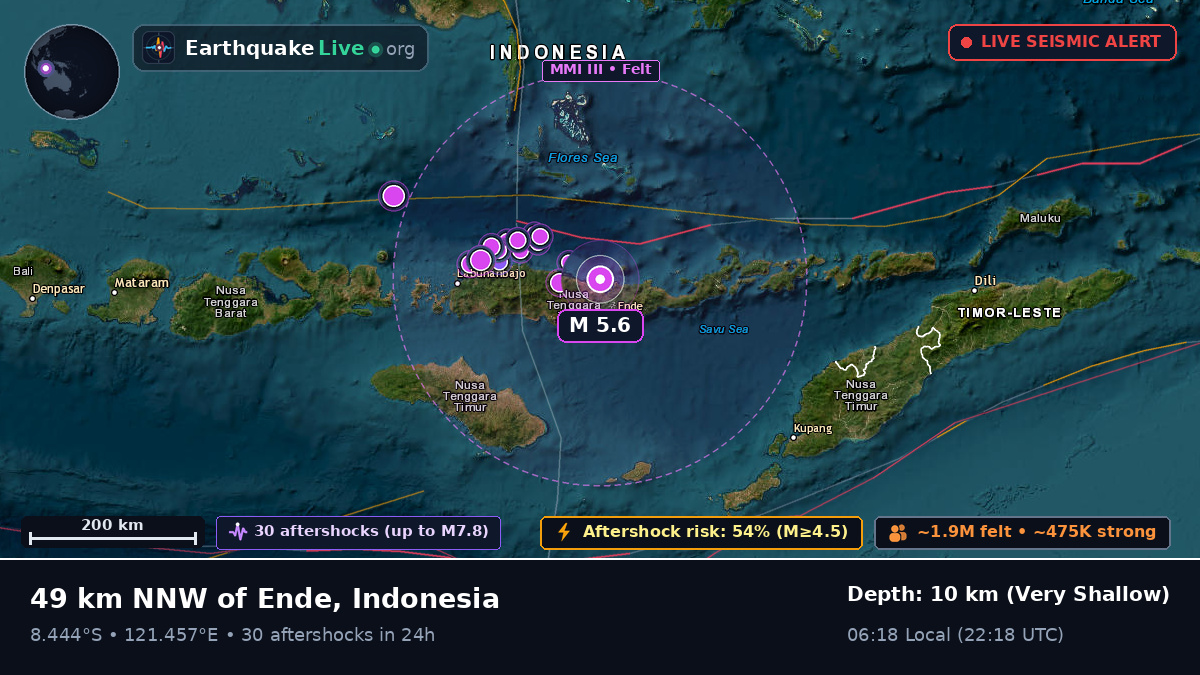 Flores Sea (Indonesia)