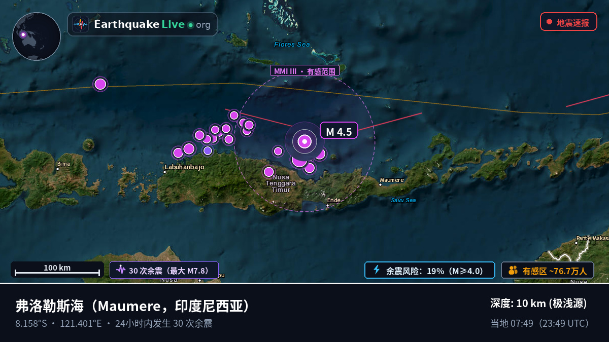 弗洛勒斯海 (印度尼西亚)