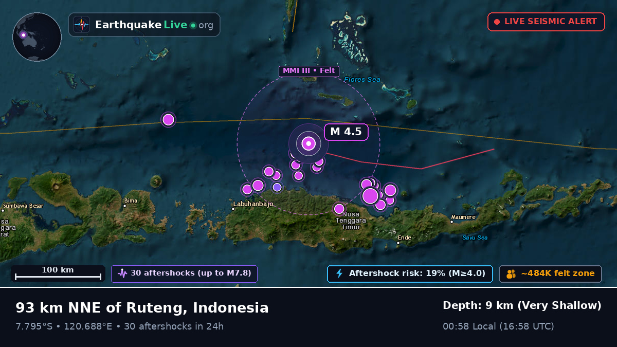 Flores Sea (Indonesia)