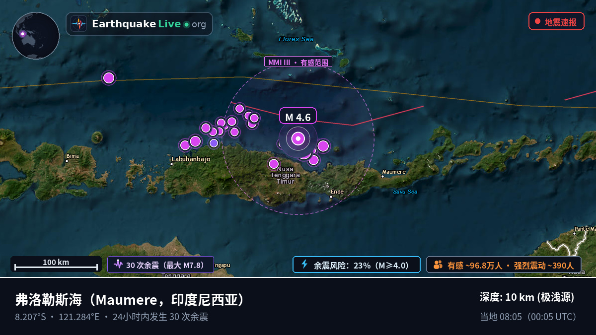 弗洛勒斯海 (印度尼西亚)