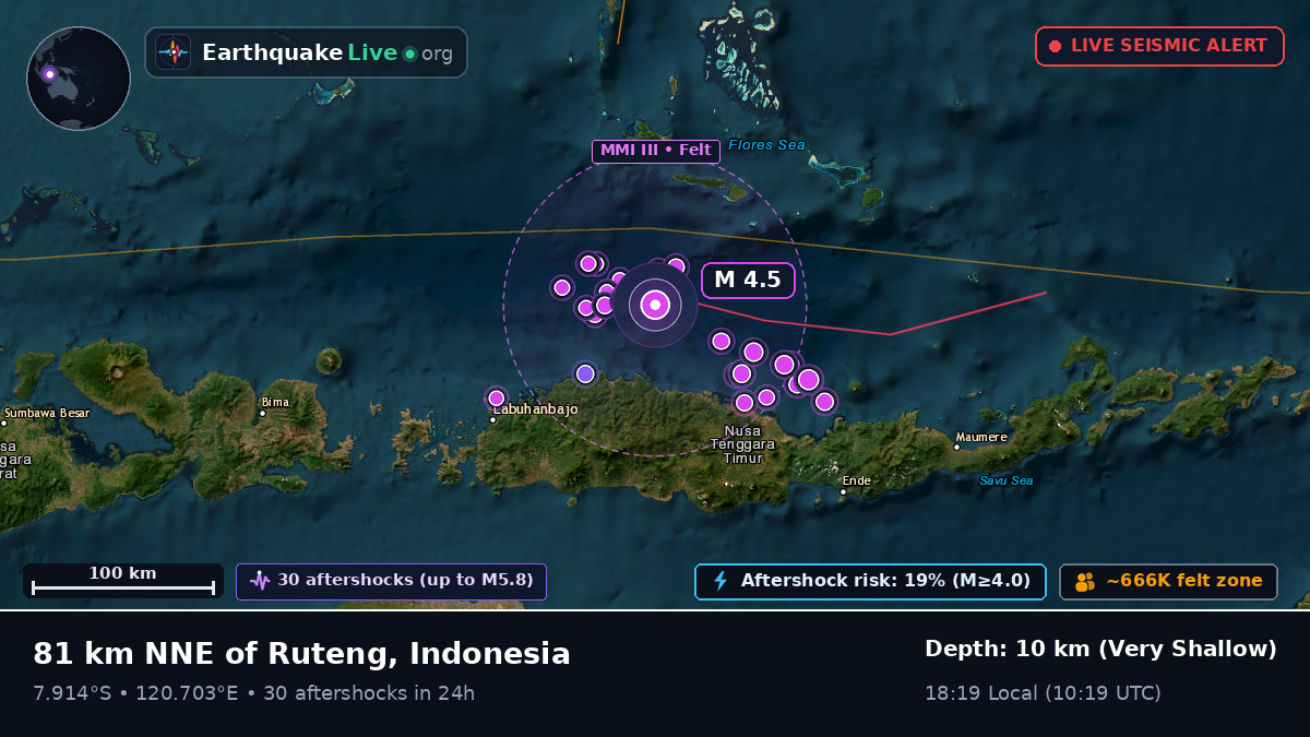 Flores Sea (Indonesia)