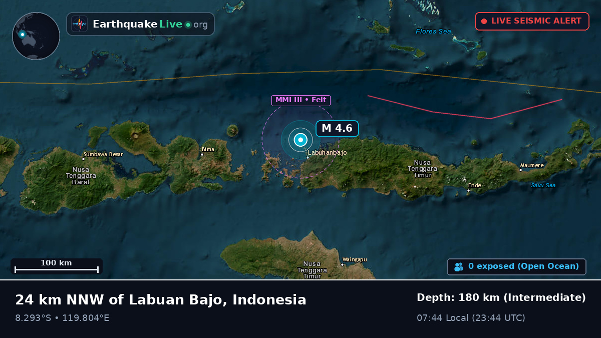Flores Sea (Indonesia)