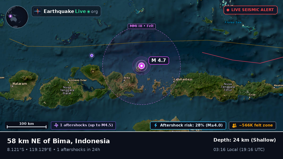 Flores Sea (Indonesia)