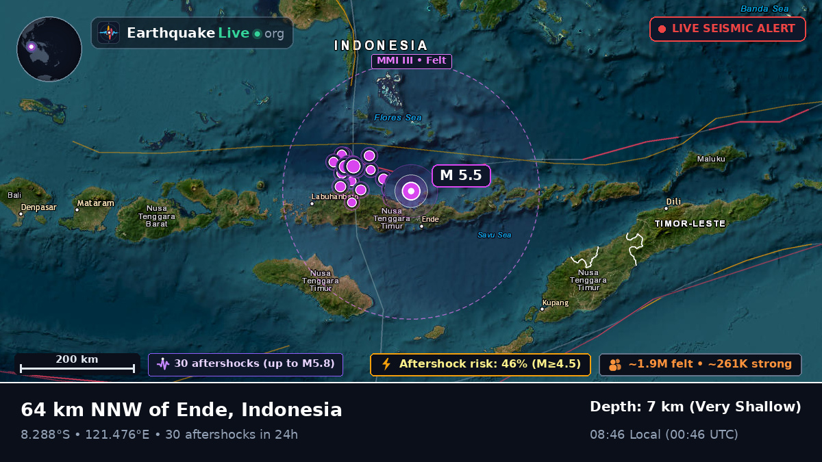 Flores Sea (Indonesia)