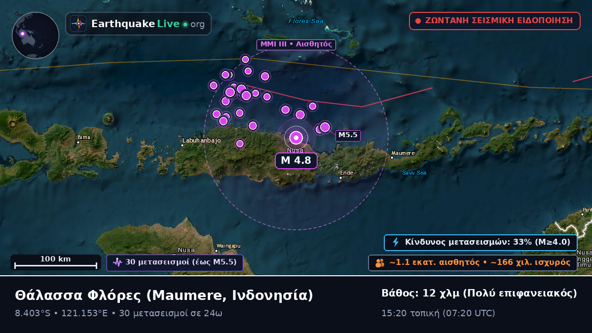Θάλασσα Φλόρες (Ινδονησία)