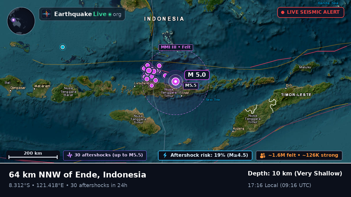Flores Sea (Indonesia)