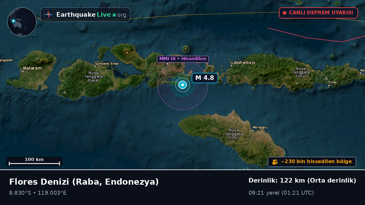 Flores Denizi (Endonezya)