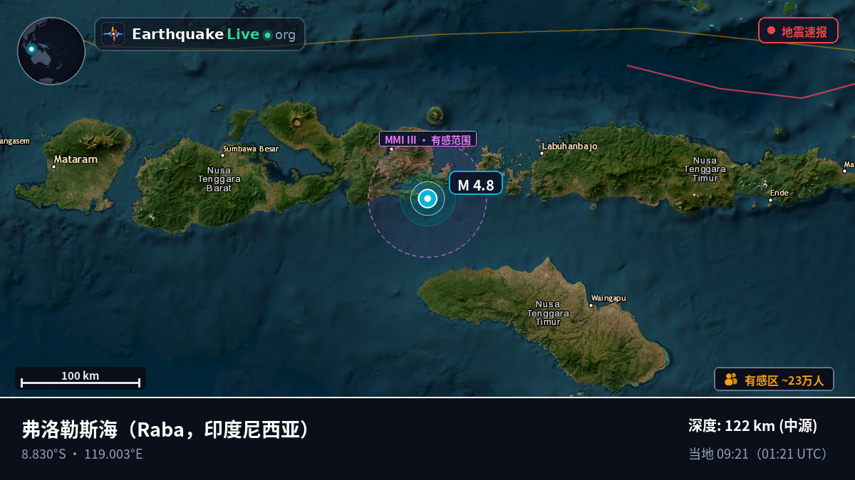 弗洛勒斯海 (印度尼西亚)