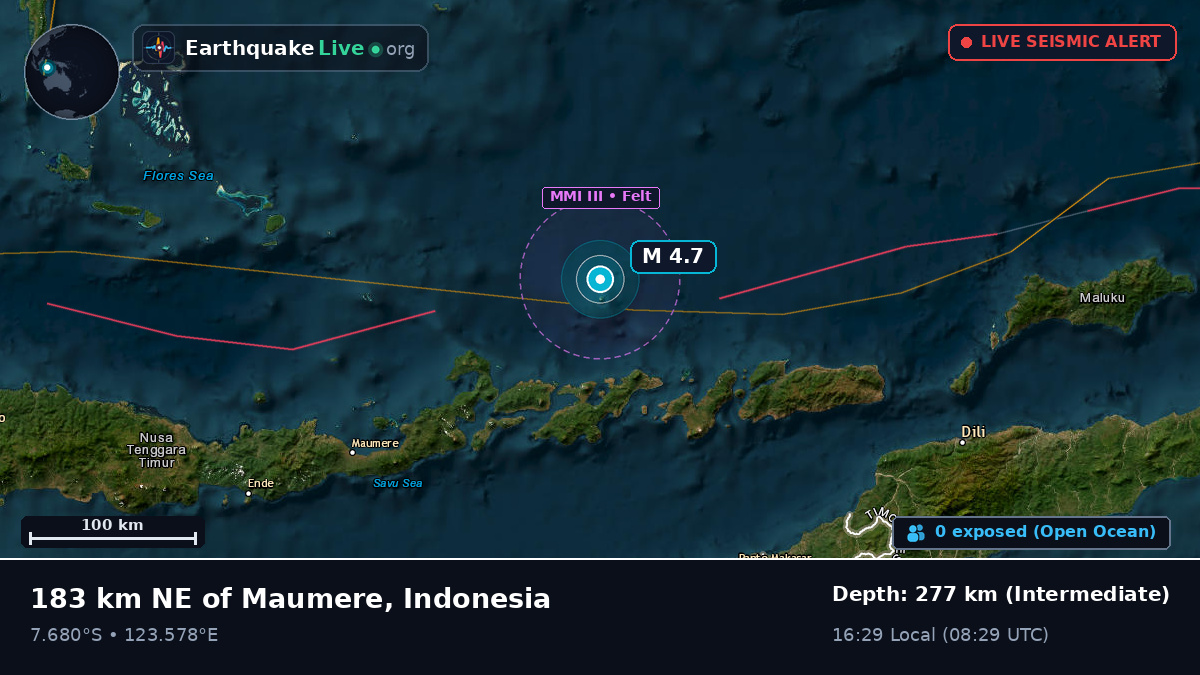 Flores Sea (Indonesia)