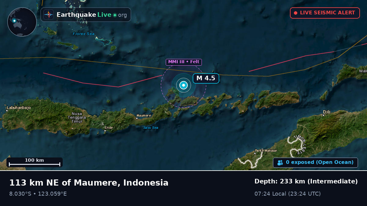 Flores Sea (Indonesia)