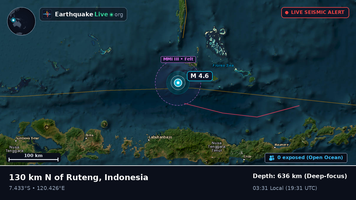Flores Sea (Indonesia)