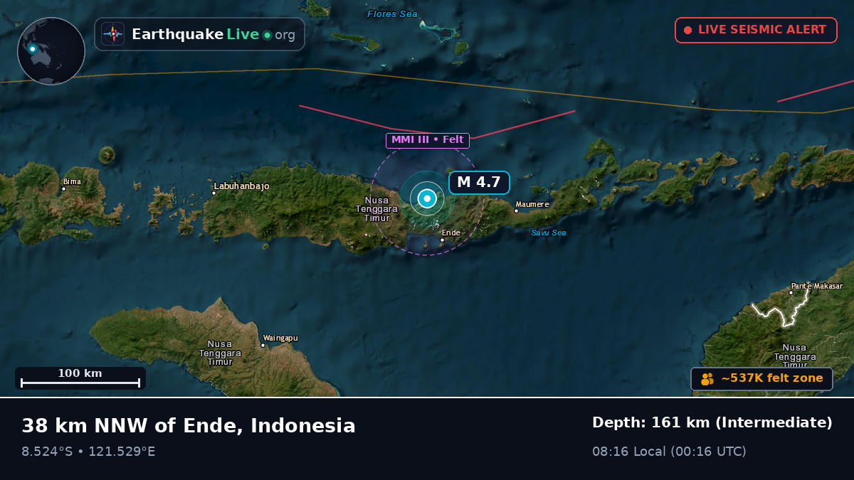 Flores Sea (Indonesia)