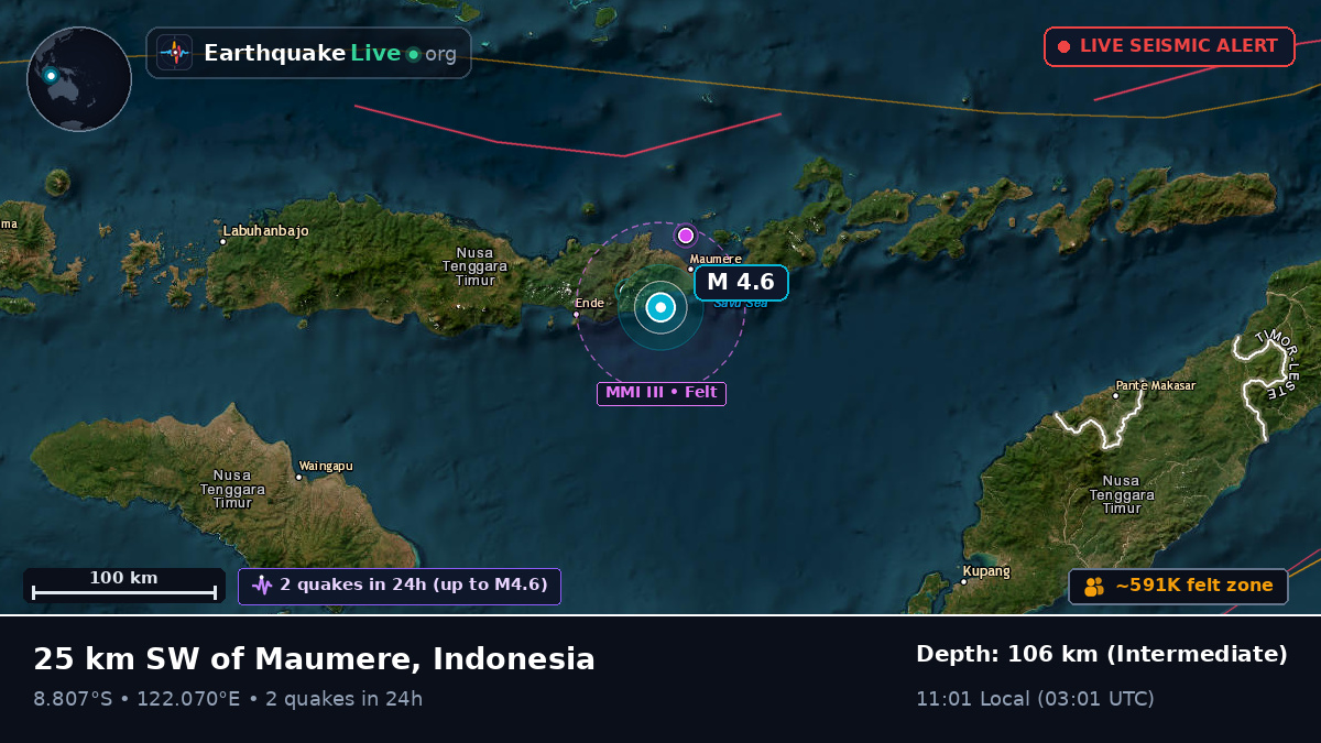 Flores Sea (Indonesia)