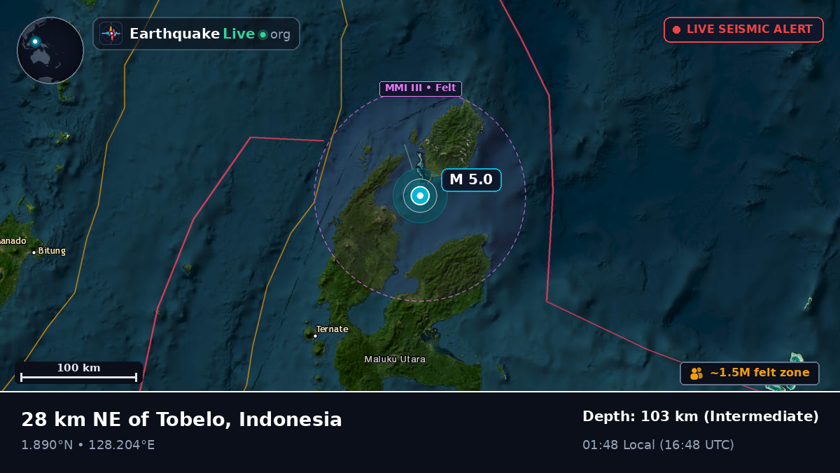 Molucca Sea (Indonesia)