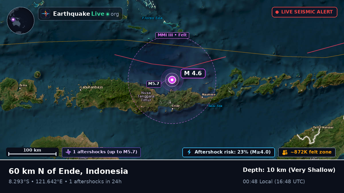 Flores Sea (Indonesia)