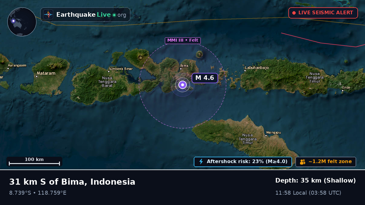 Flores Sea (Indonesia)