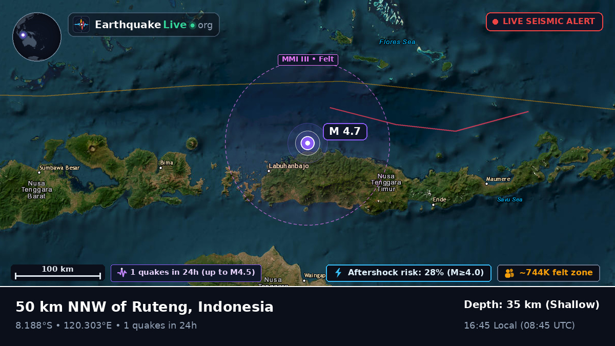 Flores Sea (Indonesia)