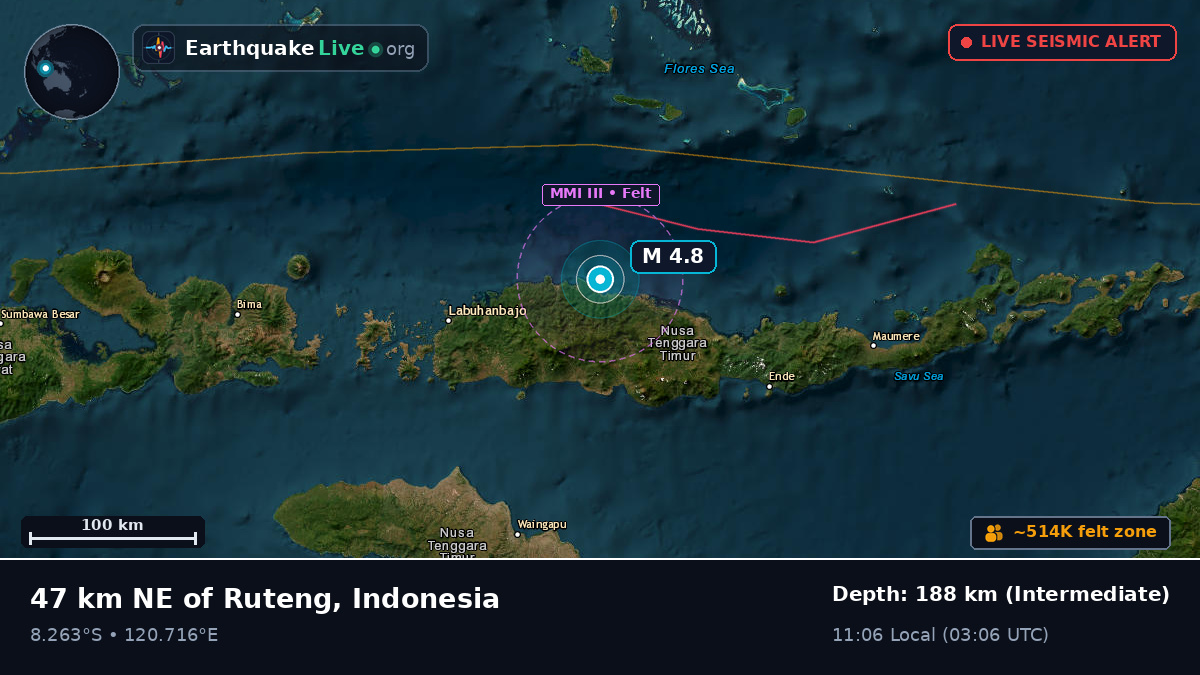 Flores Sea (Indonesia)