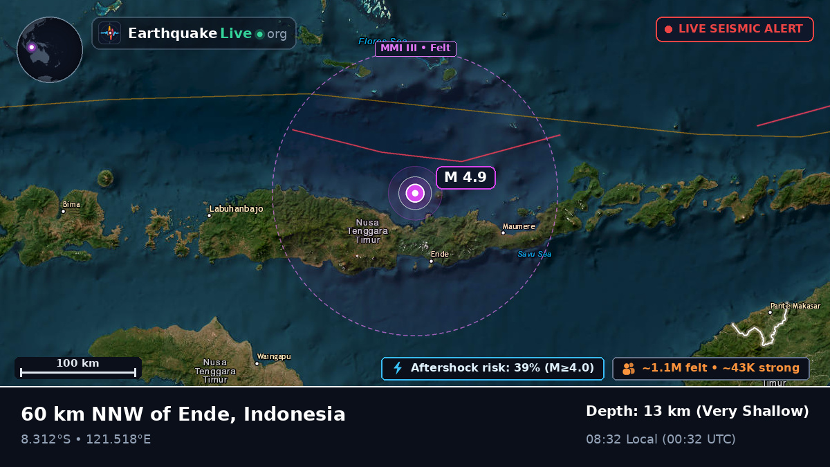 Flores Sea (Indonesia)